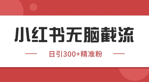 小红书只要你有同行就能获客，独家野路子获客玩法，暴力截流【揭秘】 - 搞薯条网-搞薯条网