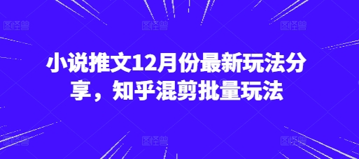 小说推文12月份最新玩法分享，知乎混剪批量玩法 - 搞薯条网-搞薯条网