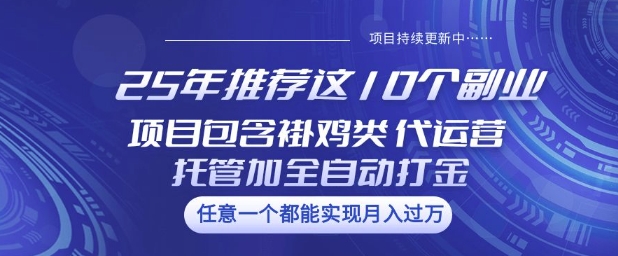 25年推荐这10个副业项目包含褂鸡类、代运营托管类、全自动打金类【揭秘】 - 搞薯条网-搞薯条网