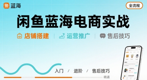 闲鱼蓝海电商实战，店铺搭建运营售后全流程 - 搞薯条网-搞薯条网