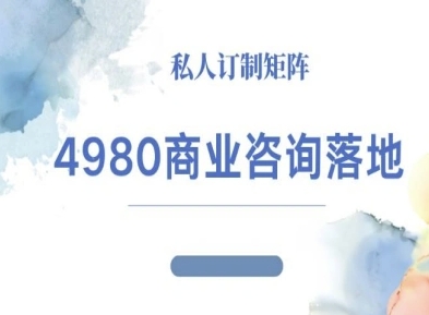4980商业咨询师落地课程-ip运营高客单教程 - 搞薯条网-搞薯条网