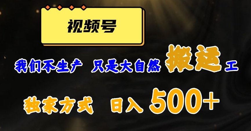 视频号轻松搬运日赚500+，一个1分钟1条原创视频【揭秘】 - 搞薯条网-搞薯条网
