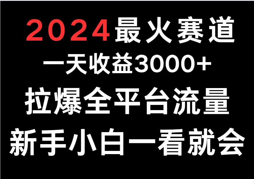 2024最火赛道，一天收一3000+.拉爆全平台流量，新手小白一看就会 - 搞薯条网-搞薯条网