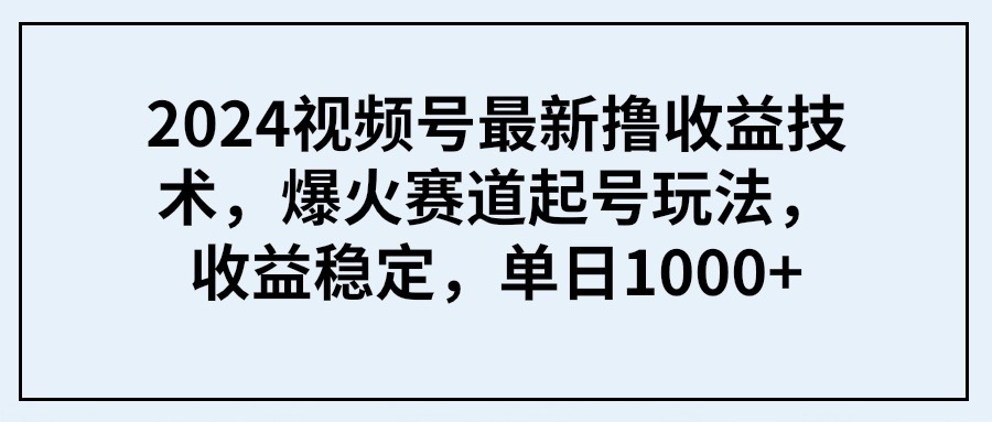 (9651期) 2024视频号最新撸收益技术，爆火赛道起号玩法，收益稳定，单日1000+-路子网