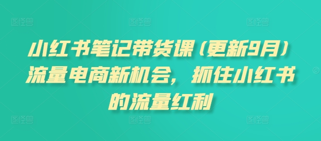 小红书笔记带货课(更新25年3月)流量电商新机会，抓住小红书的流量红利 - 搞薯条网-搞薯条网