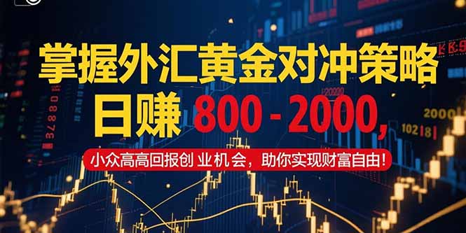 掌握外汇黄金对冲策略，日赚 800 – 2000，小众高回报创业机会，助你实… - 搞薯条网-搞薯条网