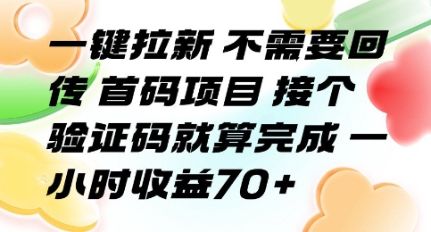 一键拉新 不需要回传 首码项目 接个验证码就算完成 一小时收益70+【揭秘】 - 搞薯条网-搞薯条网