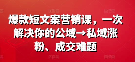 爆款短文案营销课，一次解决你的公域→私域涨粉、成交难题 - 搞薯条网-搞薯条网