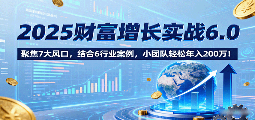 2025财富增长实战6.0，聚焦7大风口，结合6行业案例，小团队轻松年入200万！ - 搞薯条网-搞薯条网