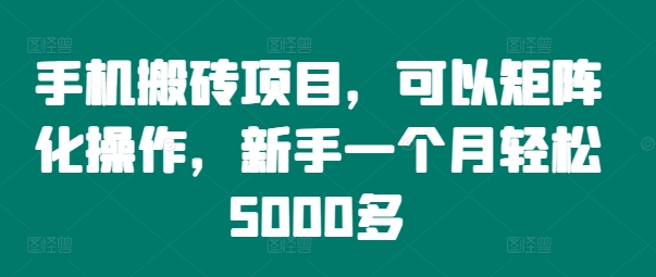 手机搬砖项目，可以矩阵化操作，新手一个月轻松5000多 - 搞薯条网-搞薯条网
