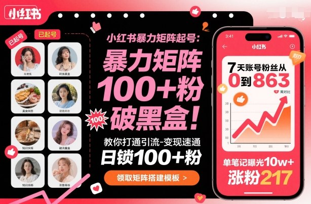 小红书暴力矩阵起号，教你打通引流-变现速通，日锁100+粉，破流量黑盒 - 搞薯条网-搞薯条网