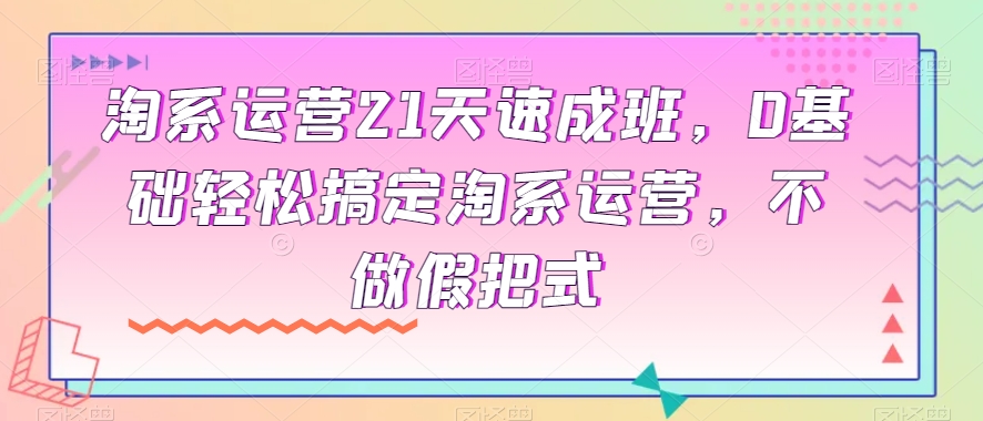 淘系运营21天速成班，0基础轻松搞定淘系运营，不做假把式 - 搞薯条网-搞薯条网