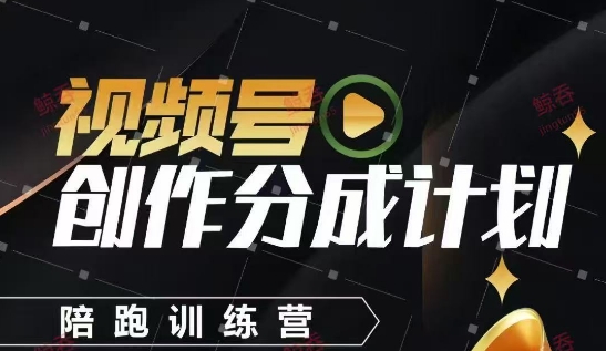 视频号创作分成计划陪跑训练营，手把手教会你如何制作视频，细水长流型项目 - 搞薯条网-搞薯条网