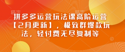 拼多多运营玩法课高阶运营【2月更新】，极致群爆款玩法，轻付费无尽复制等 - 搞薯条网-搞薯条网