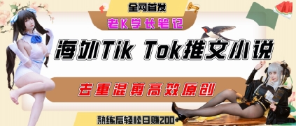 海外tiktok小说推文暴力项目，高停留率，高转化率，上手后一天搞顿饭钱不是问题 - 搞薯条网-搞薯条网