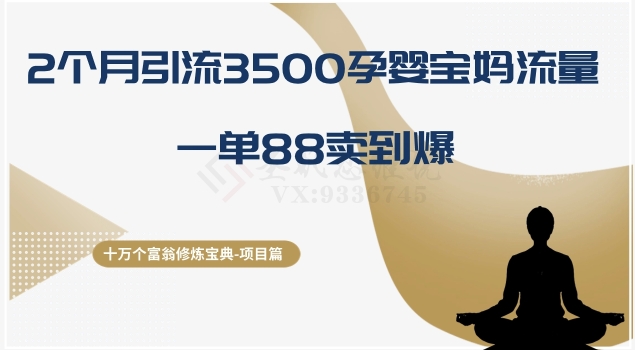 十万个富翁修炼宝典之13.2个月引流3500孕婴宝妈流量，一单88卖到爆 - 搞薯条网-搞薯条网
