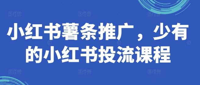 小红书薯条推广，少有的小红书投流课程 - 搞薯条网-搞薯条网