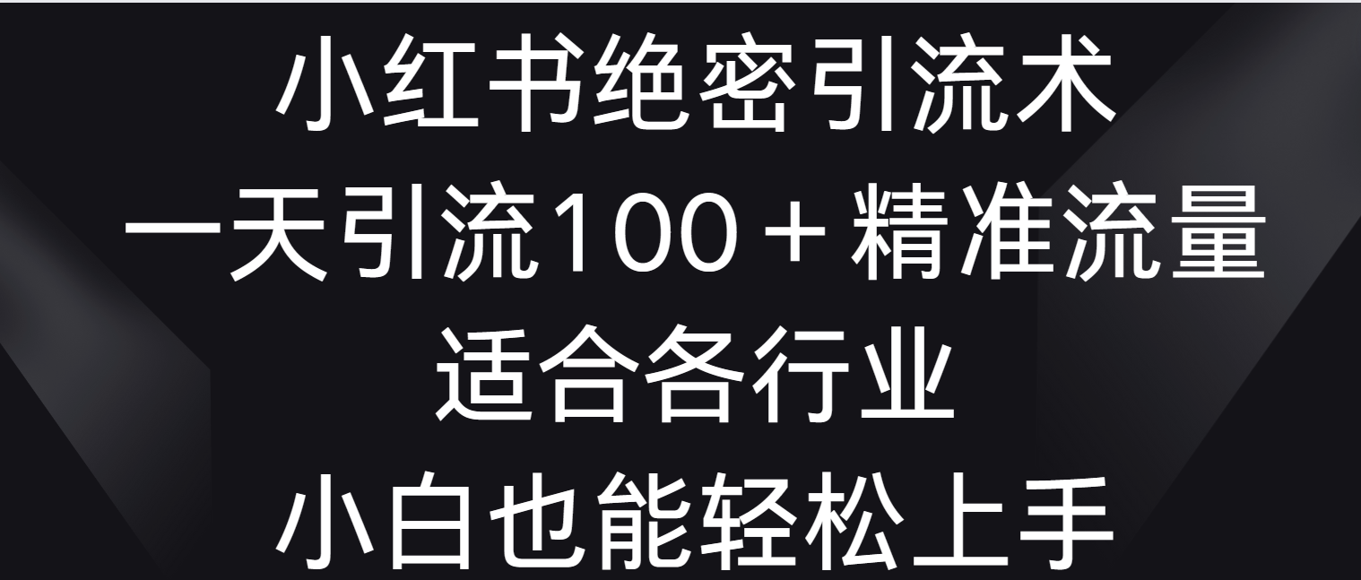 小红书绝密引流术，一天引流100＋精准流量，适合各个行业，小白也能轻松上手 - 搞薯条网-搞薯条网