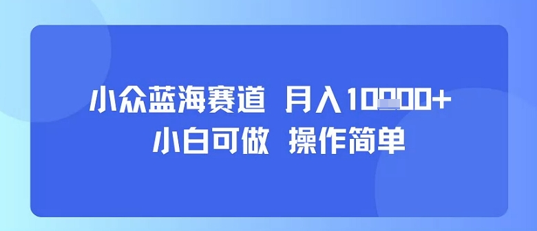 小众蓝海赛道，小白可做，操作简单，每天30分钟，月入1W+ - 搞薯条网-搞薯条网