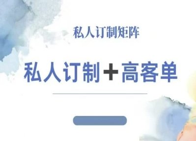 小红书自媒体咨询师IP教程，私人定制+高客单 - 搞薯条网-搞薯条网