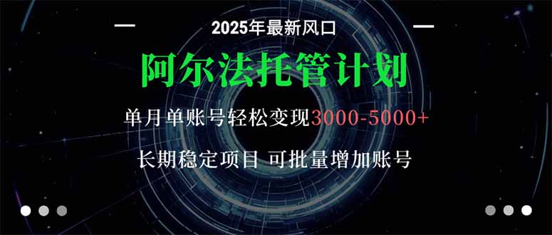 阿尔法托管计划 单账号月入3000-5000，长期稳定项目，新手小白轻松上手。-搞薯条网
