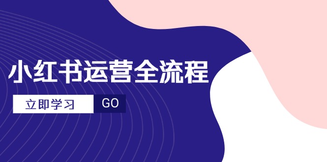小红书运营全流程，爆款选题文案，视频制作技巧，进阶达人宝典 - 搞薯条网-搞薯条网