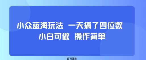小众蓝海玩法 一天搞了四位数 小白可做 操作简单 - 搞薯条网-搞薯条网