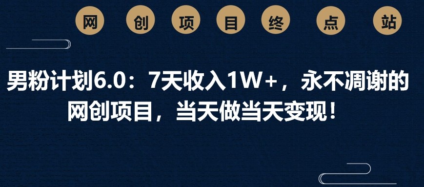 男粉计划6.0：7天收入1W+，永不凋谢的网创项目，当天做当天变现！ - 搞薯条网-搞薯条网