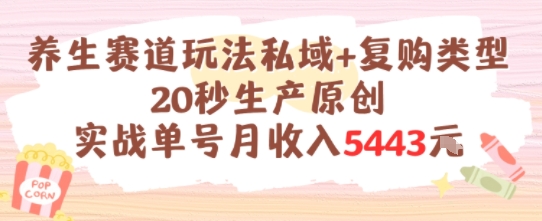 养生赛道玩法私域+复购类型，20秒生产原创实战单号月收入5k+ - 搞薯条网-搞薯条网