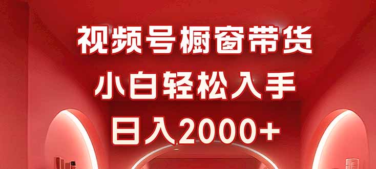 视频号橱窗带货，小白轻松入手，日入2000+ - 搞薯条网-搞薯条网