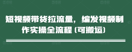 短视频带货拉流量，编发视频制作实操全流程(可搬运) - 搞薯条网-搞薯条网