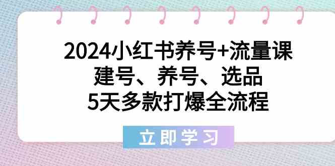 2024小红书养号+流量课：建号、养号、选品，5天多款打爆全流程-森森项目库