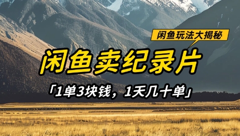 闲鱼卖纪录片1单3块钱，1天几十单，项目稳定有潜力 - 搞薯条网-搞薯条网