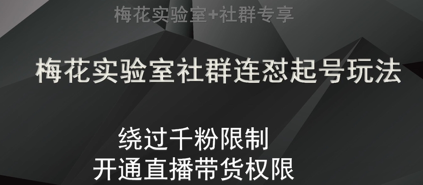 梅花实验室社群连怼起号玩法，视频号绕过千粉限制，开通直播带货权限【揭秘】 - 搞薯条网-搞薯条网