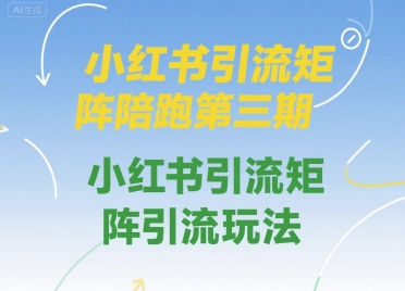 小红书引流矩阵陪跑第三期，小红书引流矩阵引流玩法 - 搞薯条网-搞薯条网
