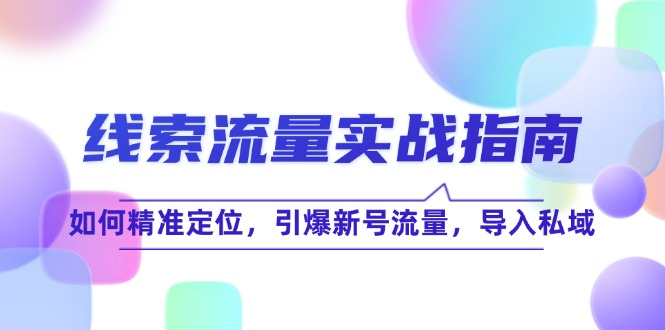 线 索 流 量-实战指南：如何精准定位，引爆新号流量，导入私域 - 搞薯条网-搞薯条网