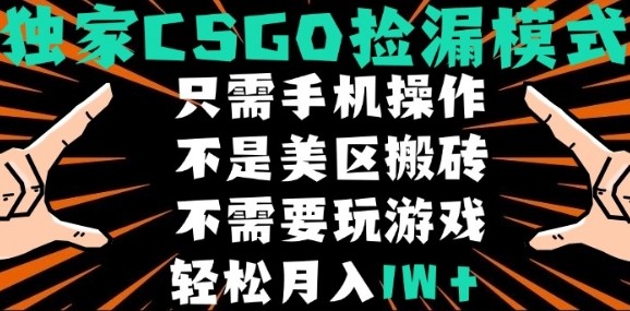 CSGO自动捡漏项目,最新独家玩法,不是美区搬砖,不需要了解和玩游戏,新手小白轻松月入1W+【揭秘】-搞薯条网