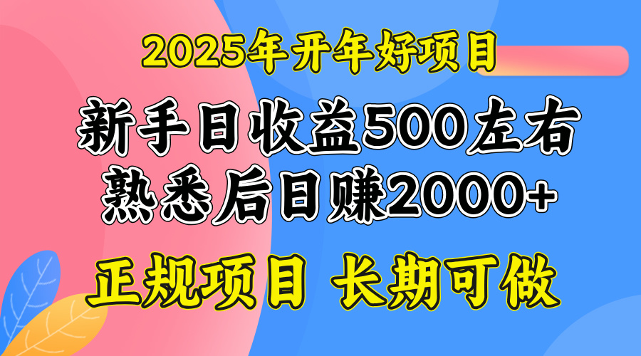 2025开年好项目，单号日收益2000左右 - 搞薯条网-搞薯条网