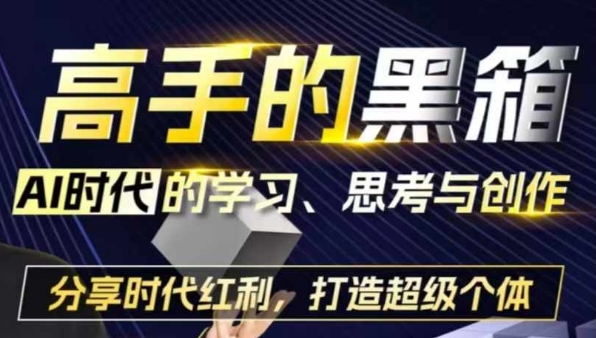 高手的黑箱：AI时代学习、思考与创作-分红时代红利，打造超级个体 - 搞薯条网-搞薯条网