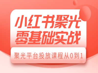 小红书聚光零基础实战，聚光平台投放课程从0到1 - 搞薯条网-搞薯条网