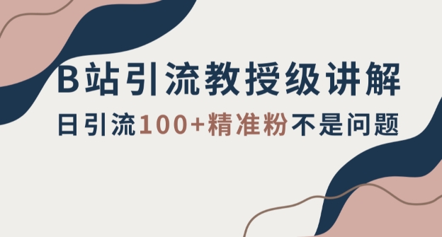 B站引流教授级讲解，细节满满，日引流100+精准粉不是问题【揭秘】 - 搞薯条网-搞薯条网