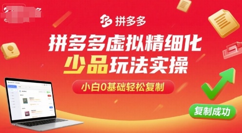 拼多多虚拟精细化少品玩法实操，小白0基础轻松复制 - 搞薯条网-搞薯条网