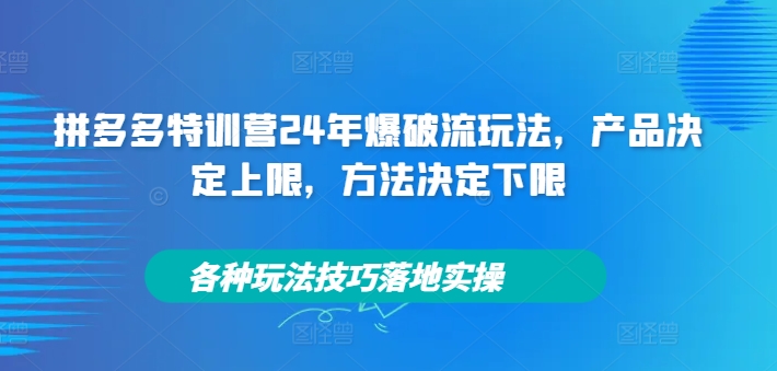 拼多多特训营24年爆破流玩法，产品决定上限，方法决定下限，各种玩法技巧落地实操 - 搞薯条网-搞薯条网