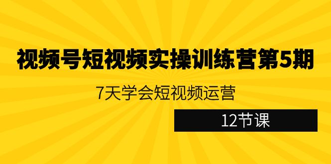 视频号短视频实操训练营第5期：7天学会短视频运营(12节课) - 搞薯条网-搞薯条网