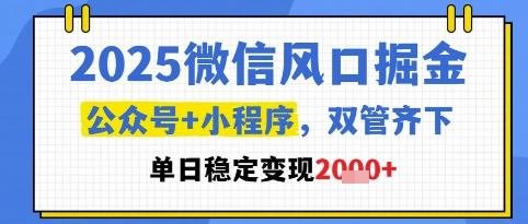 2025微信风口掘金，公众号+小程序双管齐下，单日稳定变现1k+【揭秘】 - 搞薯条网-搞薯条网