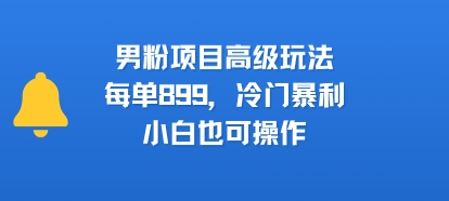 男粉项目高级玩法，每单899，冷门暴利，小白也可操作 - 搞薯条网-搞薯条网
