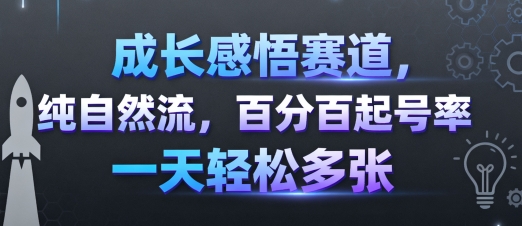 成长感悟赛道，纯自然流，百分百起号率 一天轻松多张 - 搞薯条网-搞薯条网