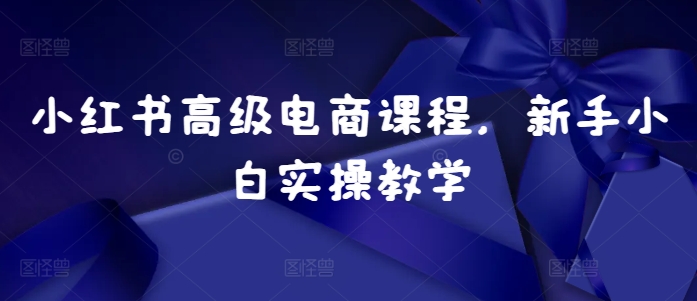 小红书高级电商课程，新手小白实操教学 - 搞薯条网-搞薯条网