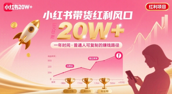 一年时间靠小红书带货项目年入20w+，最不能错的大红利项目 - 搞薯条网-搞薯条网