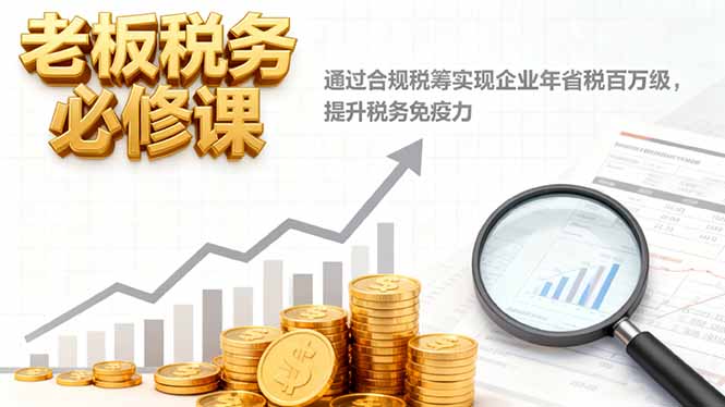 老板税务必修课,通过合规税筹实现企业年省税百万级,提升税务免疫力-搞薯条网